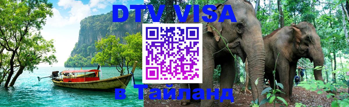 Сколько стоит DTV виза — актуальные цены, оформление даже без документов - 